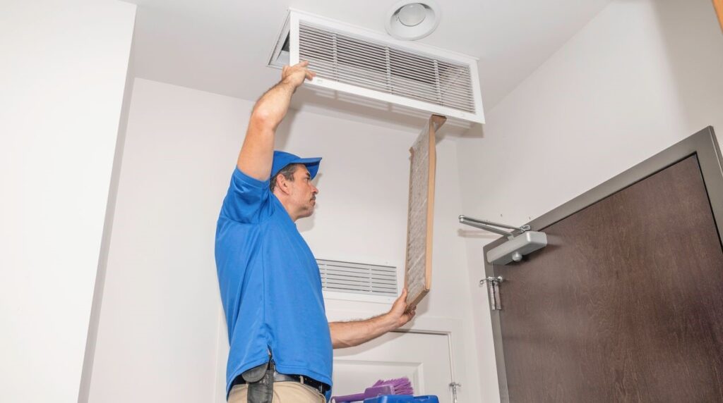mold in HVAC system safe removal